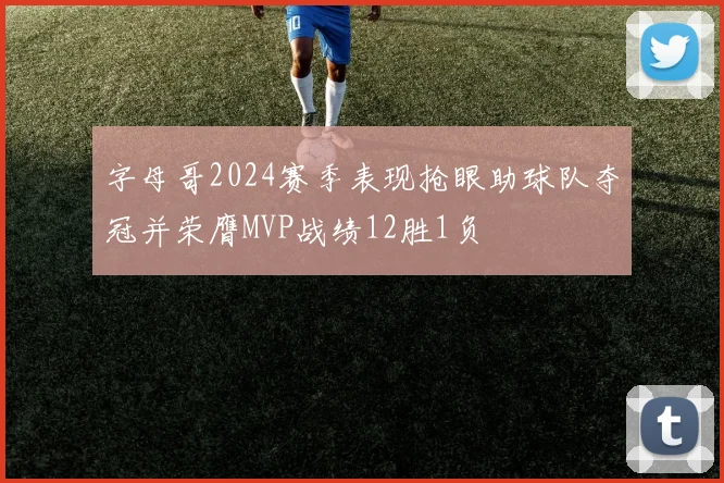 字母哥2024赛季表现抢眼助球队夺冠并荣膺MVP战绩12胜1负