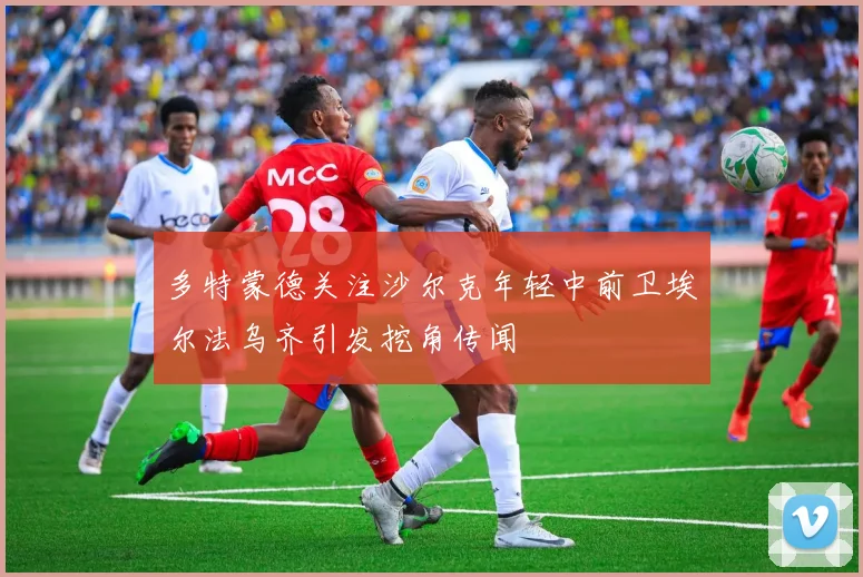 多特蒙德关注沙尔克年轻中前卫埃尔法乌齐引发挖角传闻
